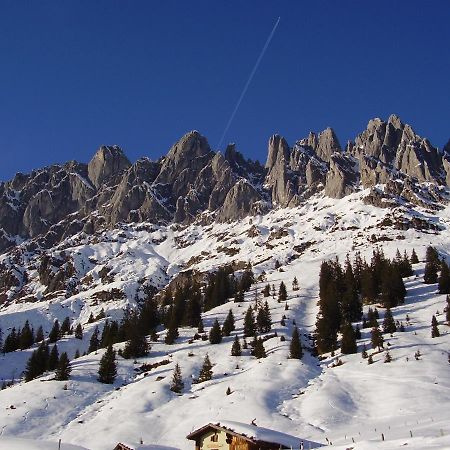 Appartementhaus Hochkoenig 1- Birgkar Muhlbach Am Hochkonig Exterior photo